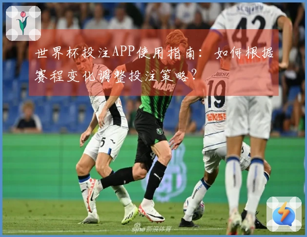 世界杯投注APP使用指南：如何根据赛程变化调整投注策略？