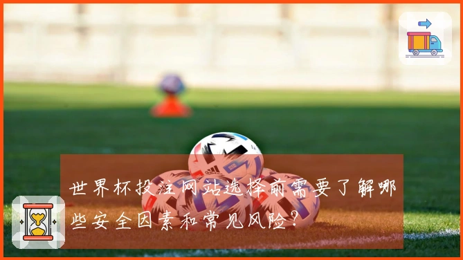 世界杯投注网站选择前需要了解哪些安全因素和常见风险？