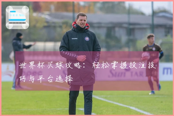 世界杯买球攻略：轻松掌握投注技巧与平台选择