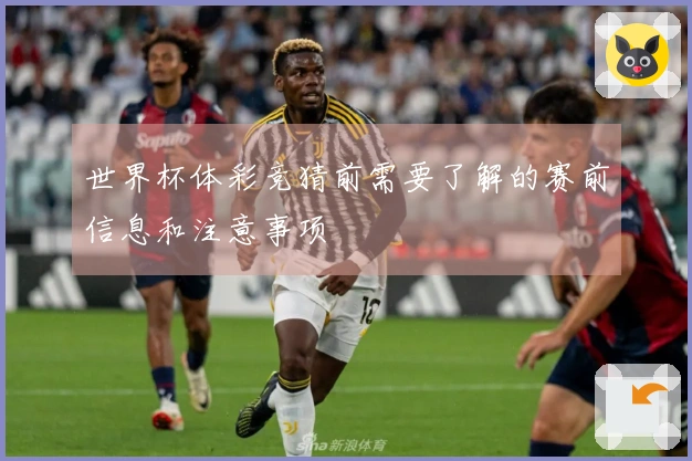 世界杯体彩竞猜前需要了解的赛前信息和注意事项