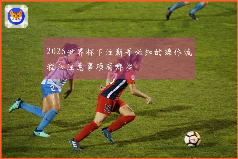 2026世界杯下注新手必知的操作流程和注意事项有哪些