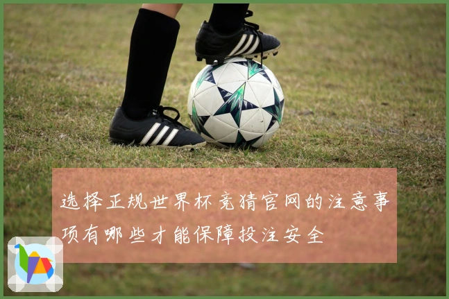 选择正规世界杯竞猜官网的注意事项有哪些才能保障投注安全