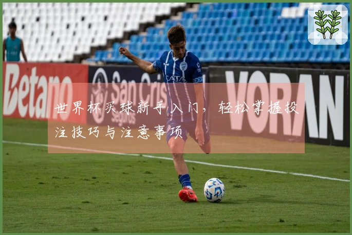世界杯买球新手入门，轻松掌握投注技巧与注意事项