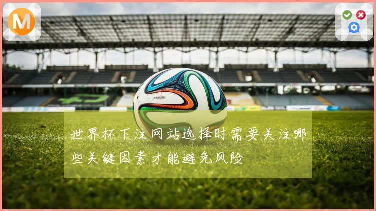 世界杯下注网站选择时需要关注哪些关键因素才能避免风险