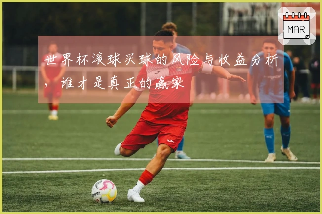 世界杯滚球买球的风险与收益分析，谁才是真正的赢家