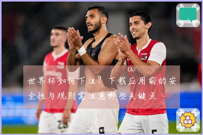 世界杯如何下注？下载应用前的安全性与规则需注意哪些关键点