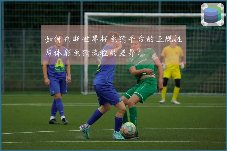 如何判断世界杯竞猜平台的正规性与体彩竞猜流程的差异？