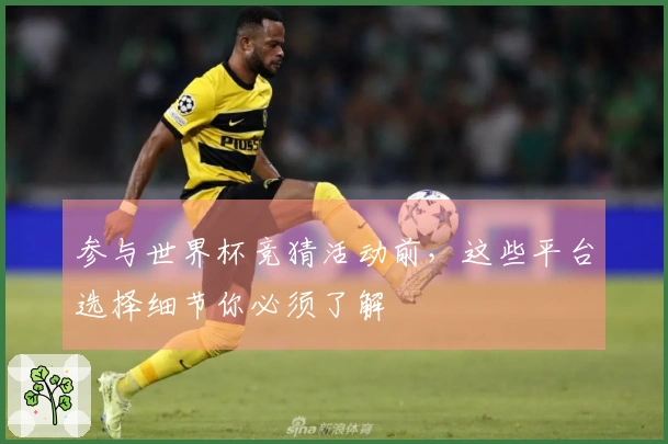 参与世界杯竞猜活动前，这些平台选择细节你必须了解