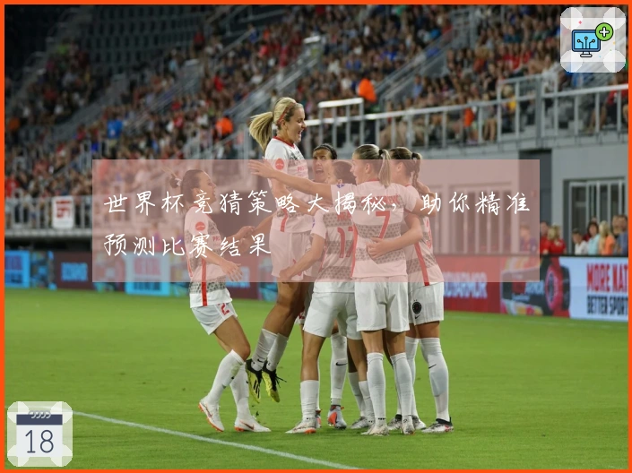 世界杯竞猜策略大揭秘，助你精准预测比赛结果