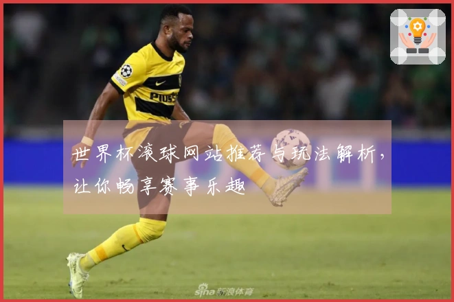 世界杯滚球网站推荐与玩法解析，让你畅享赛事乐趣