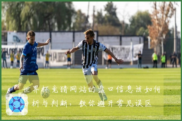 世界杯竞猜网站的盘口信息该如何分析与判断，教你避开常见误区