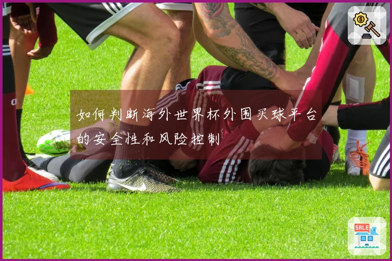 如何判断海外世界杯外围买球平台的安全性和风险控制