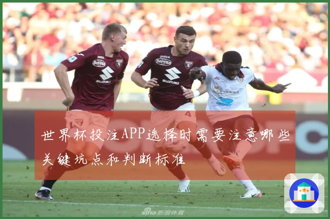 世界杯投注APP选择时需要注意哪些关键坑点和判断标准