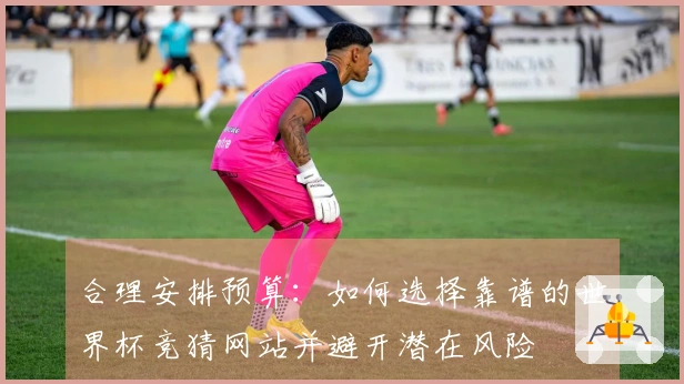 合理安排预算：如何选择靠谱的世界杯竞猜网站并避开潜在风险