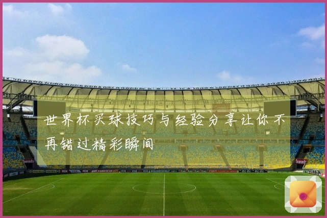 世界杯买球技巧与经验分享让你不再错过精彩瞬间