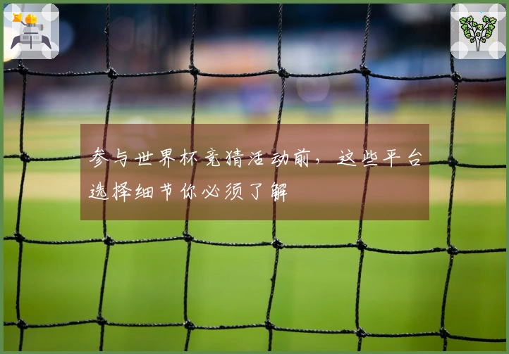 参与世界杯竞猜活动前，这些平台选择细节你必须了解