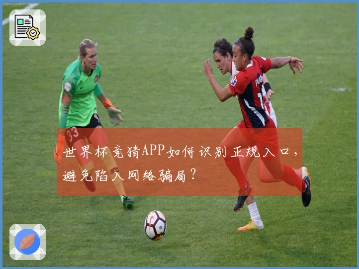 世界杯竞猜APP如何识别正规入口，避免陷入网络骗局？