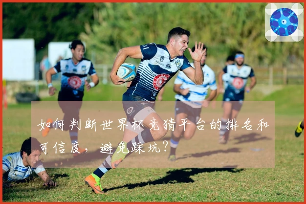 如何判断世界杯竞猜平台的排名和可信度，避免踩坑？