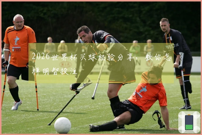 2026世界杯买球经验分享，教你怎样明智投注
