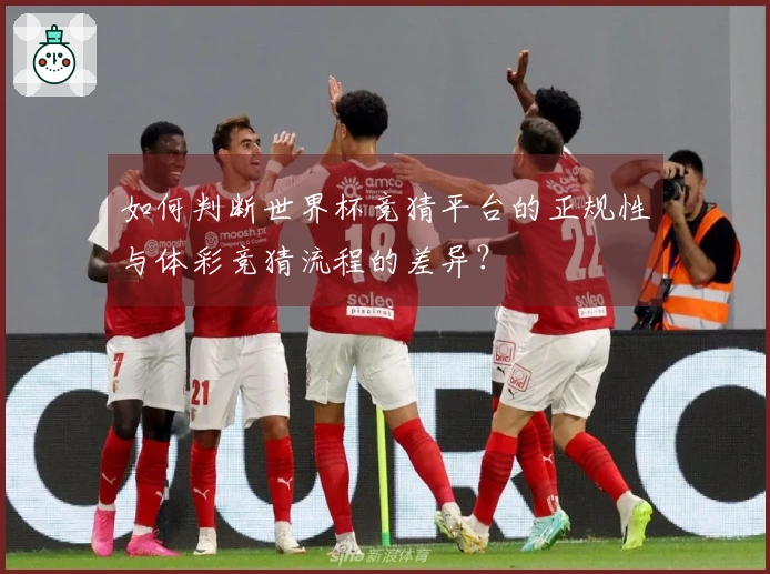 如何判断世界杯竞猜平台的正规性与体彩竞猜流程的差异？