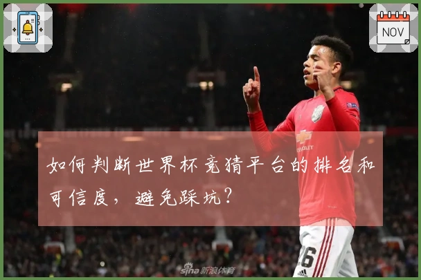 如何判断世界杯竞猜平台的排名和可信度，避免踩坑？