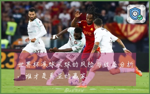 世界杯滚球买球的风险与收益分析，谁才是真正的赢家