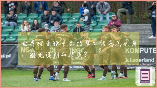 世界杯竞猜平台的盘口信息怎么看,避免误判和损失?