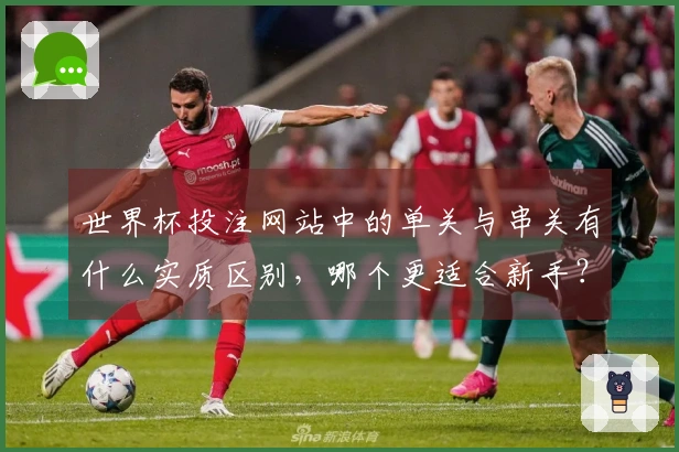 世界杯投注网站中的单关与串关有什么实质区别，哪个更适合新手？