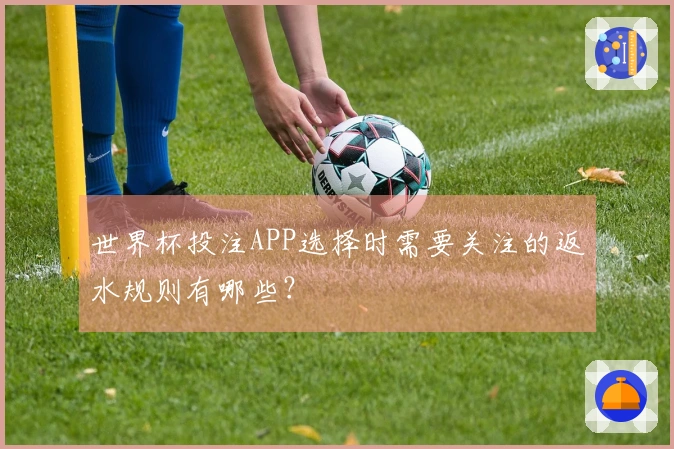世界杯投注APP选择时需要关注的返水规则有哪些？