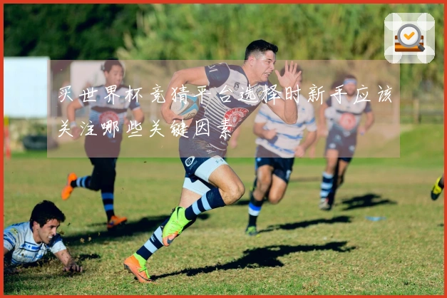 买世界杯竞猜平台选择时新手应该关注哪些关键因素