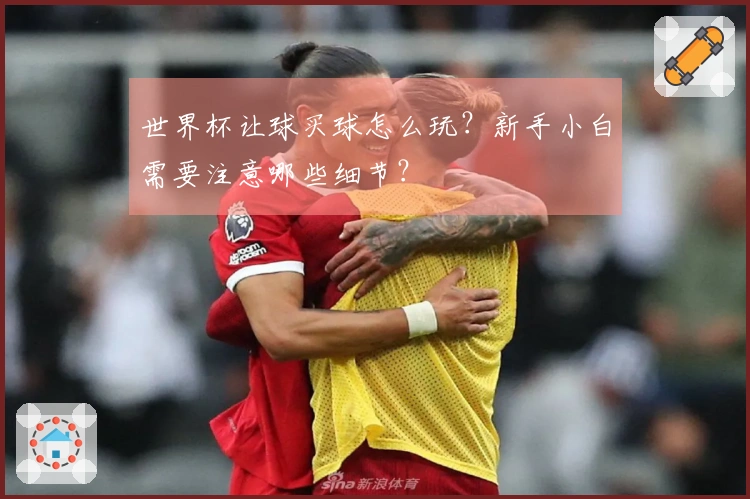 世界杯让球买球怎么玩？新手小白需要注意哪些细节？