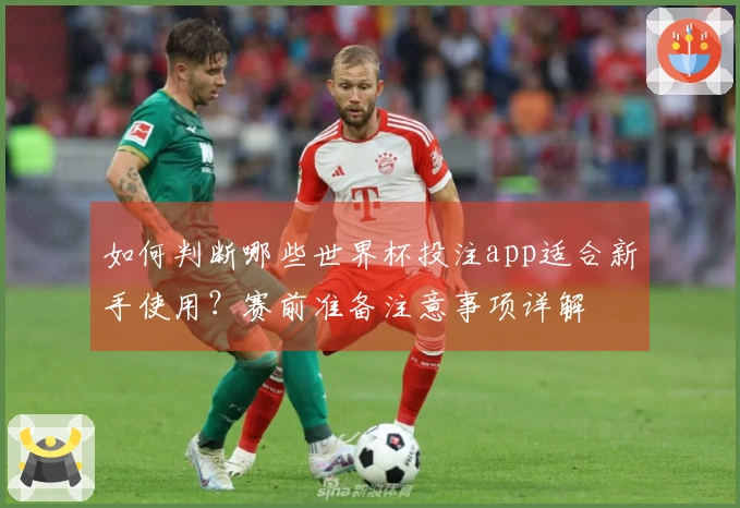 如何判断哪些世界杯投注app适合新手使用？赛前准备注意事项详解