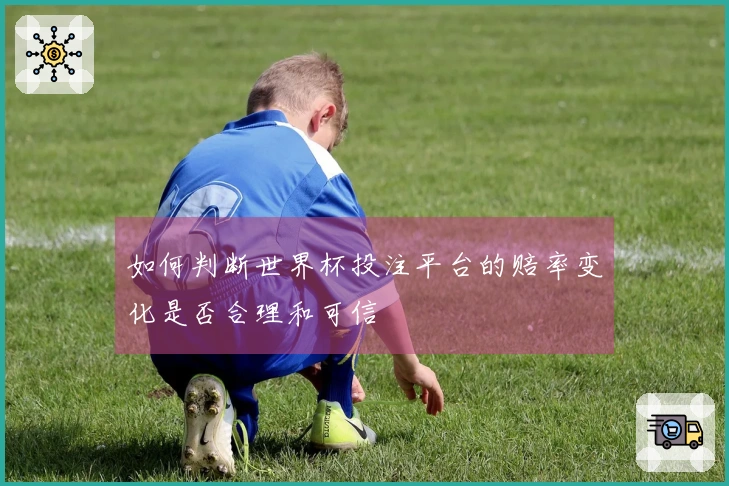 如何判断世界杯投注平台的赔率变化是否合理和可信