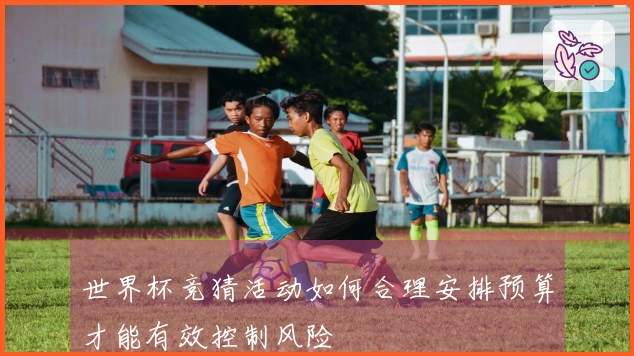 世界杯竞猜活动如何合理安排预算才能有效控制风险