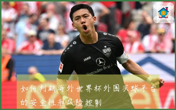 如何判断海外世界杯外围买球平台的安全性和风险控制