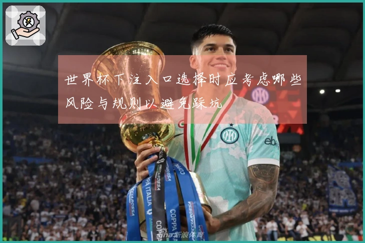 世界杯下注入口选择时应考虑哪些风险与规则以避免踩坑