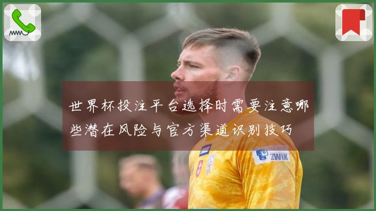 世界杯投注平台选择时需要注意哪些潜在风险与官方渠道识别技巧