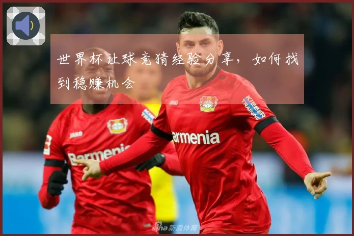 世界杯让球竞猜经验分享，如何找到稳赚机会