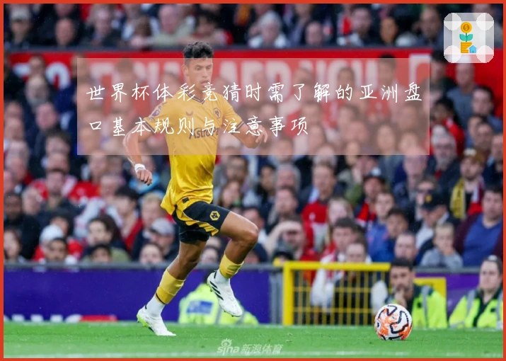 世界杯体彩竞猜时需了解的亚洲盘口基本规则与注意事项