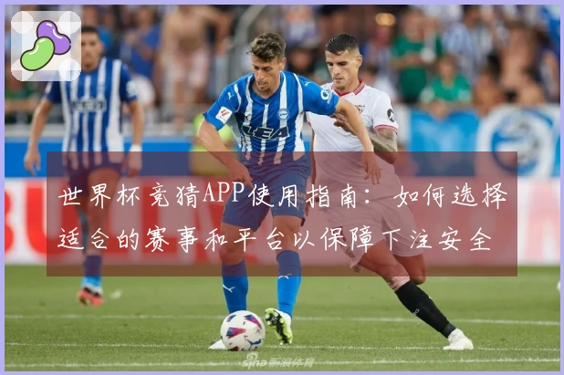 世界杯竞猜APP使用指南：如何选择适合的赛事和平台以保障下注安全