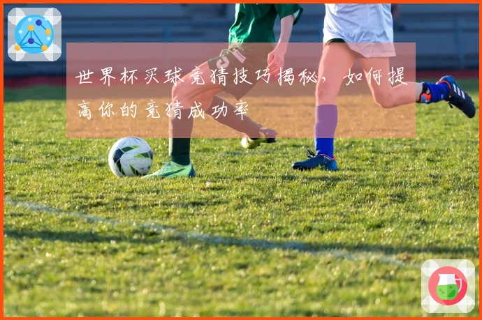 世界杯买球竞猜技巧揭秘，如何提高你的竞猜成功率