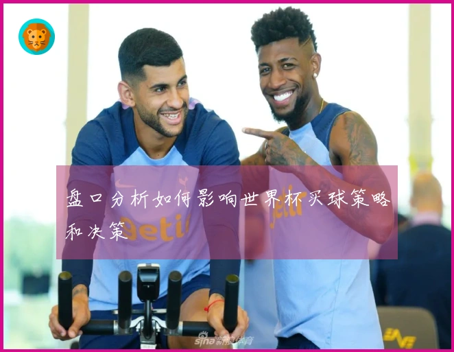 盘口分析如何影响世界杯买球策略和决策
