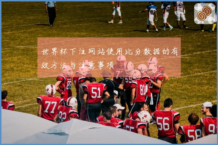世界杯下注网站使用比分数据的有效方法与注意事项