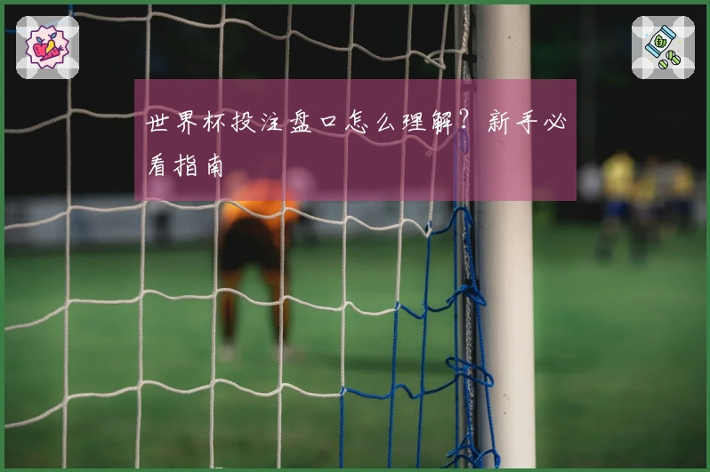 世界杯投注盘口怎么理解？新手必看指南