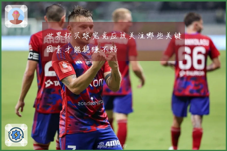 世界杯买球究竟应该关注哪些关键因素才能稳赚不赔