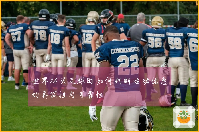 世界杯买足球时如何判断活动优惠的真实性与可靠性